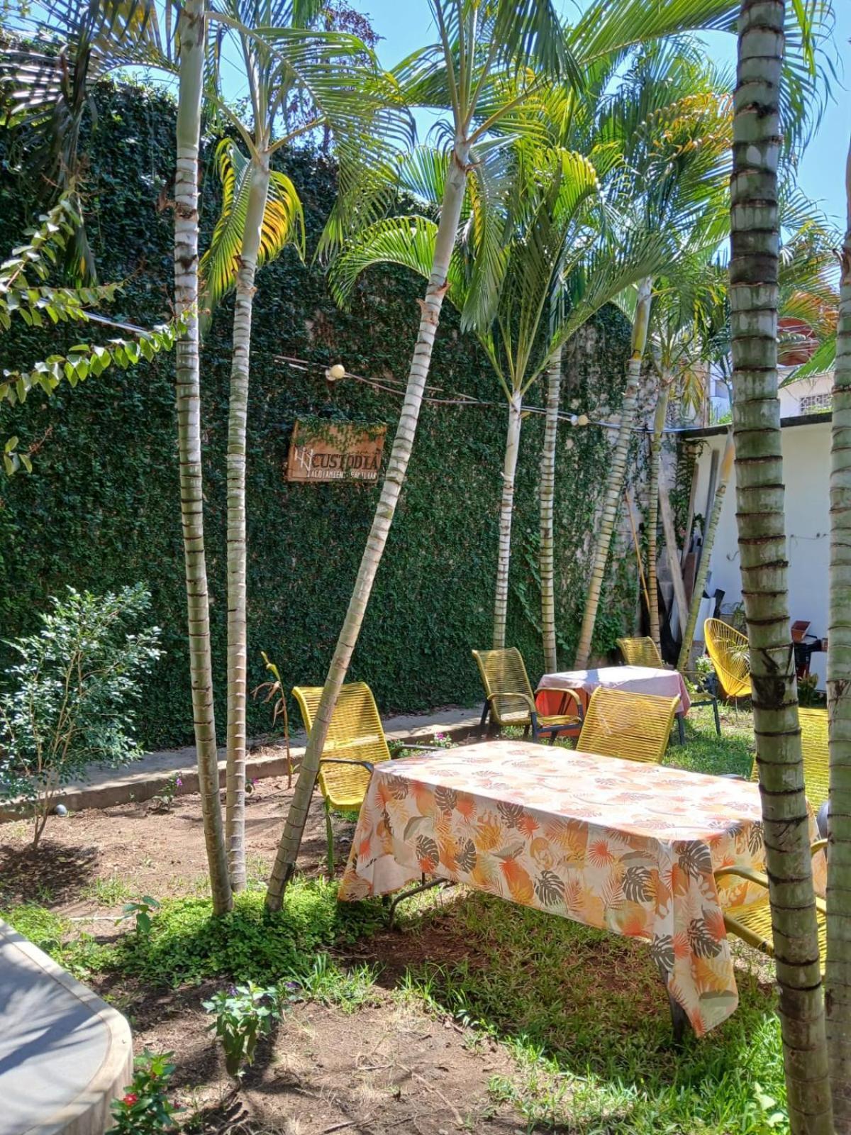Alojamiento Familiar Custodia Tarapoto Dış mekan fotoğraf