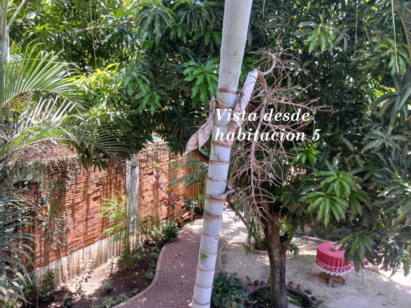 Alojamiento Familiar Custodia Tarapoto Dış mekan fotoğraf